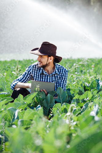 farmer man agronomist sun worker check digital tablet computer plantation technology hat sprinkler system water