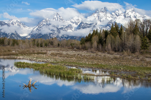 Fototapeta Naklejka Na Ścianę i Meble -  river in front of teton range