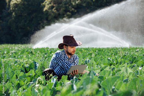 farmer man agronomist sun worker check digital tablet computer plantation technology hat sprinkler system water