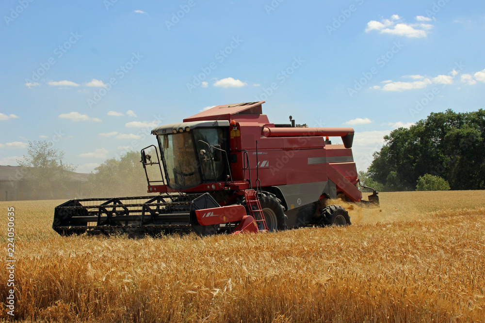 Obraz premium Getreideernte