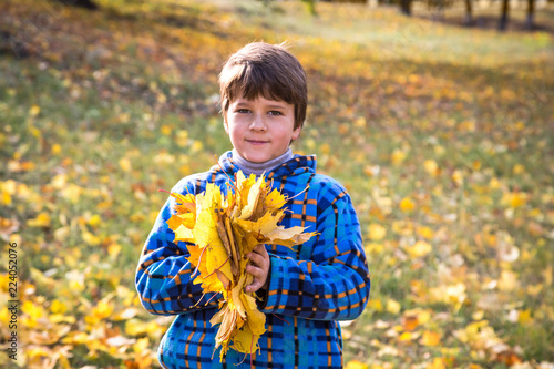 Young boy on park with yellow leaves