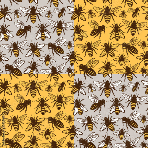 Vector honey bee seamless pattern or background