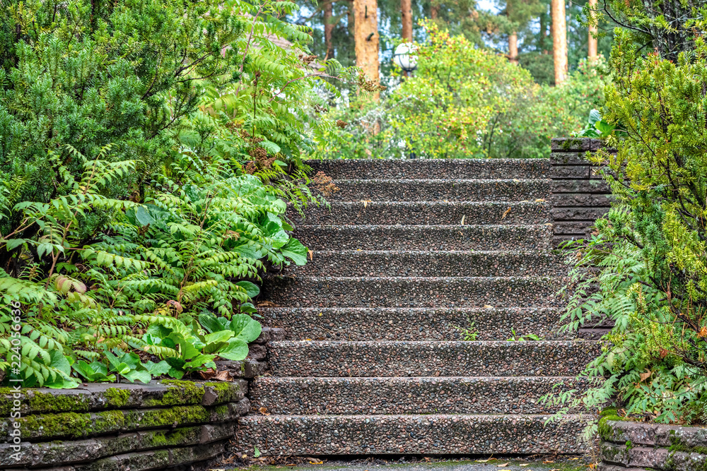 Steps in the greenery.