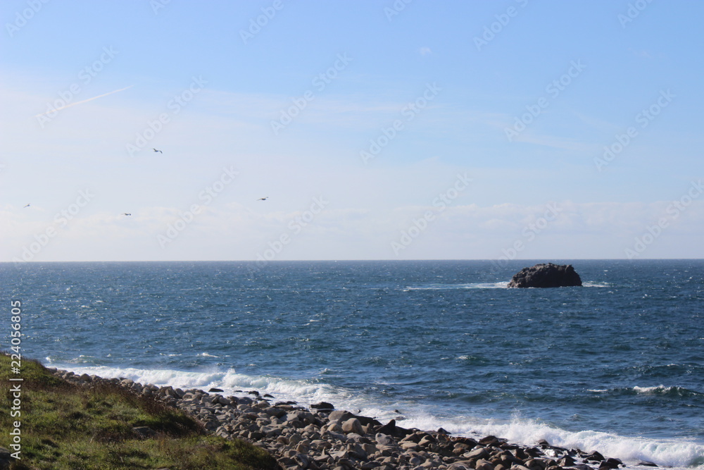 mer ciel oiseau bateau