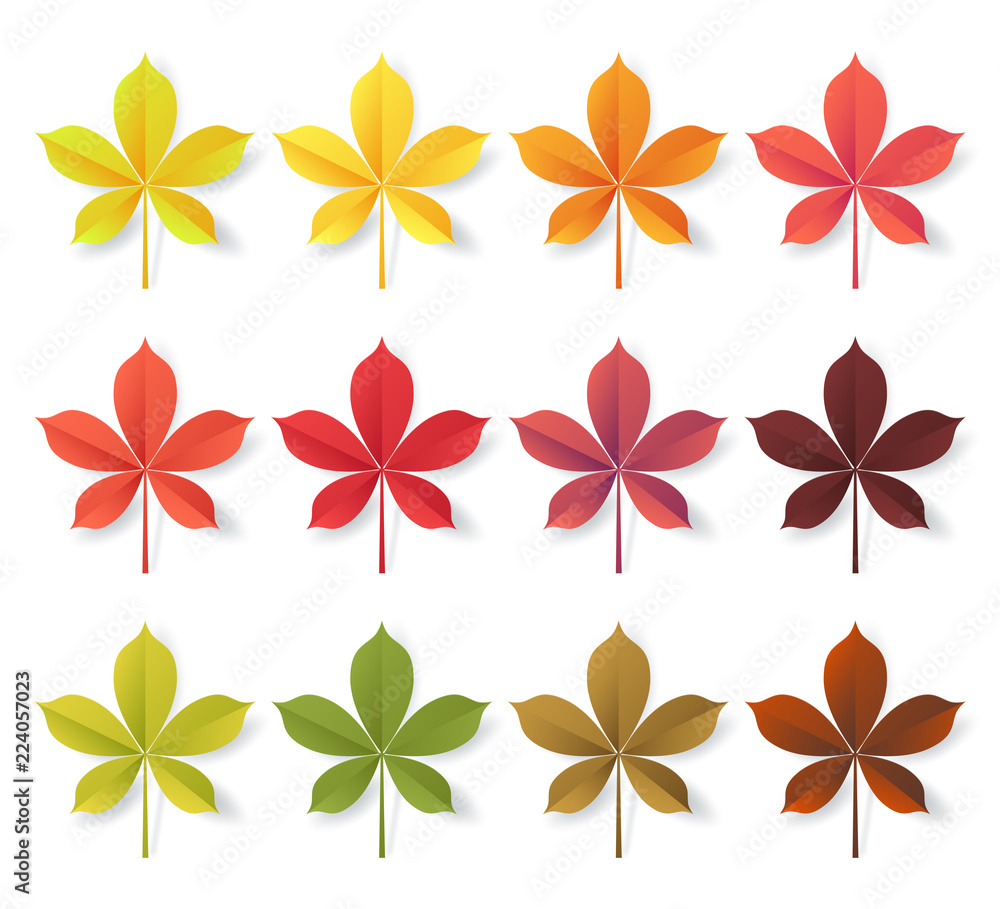 Paper cut autumn leaves set. Fall leaves colorful paper collection. Vector illustration. Paper cut autumn leaves set. Fall leaves colorful paper collection. Vector illustration.
