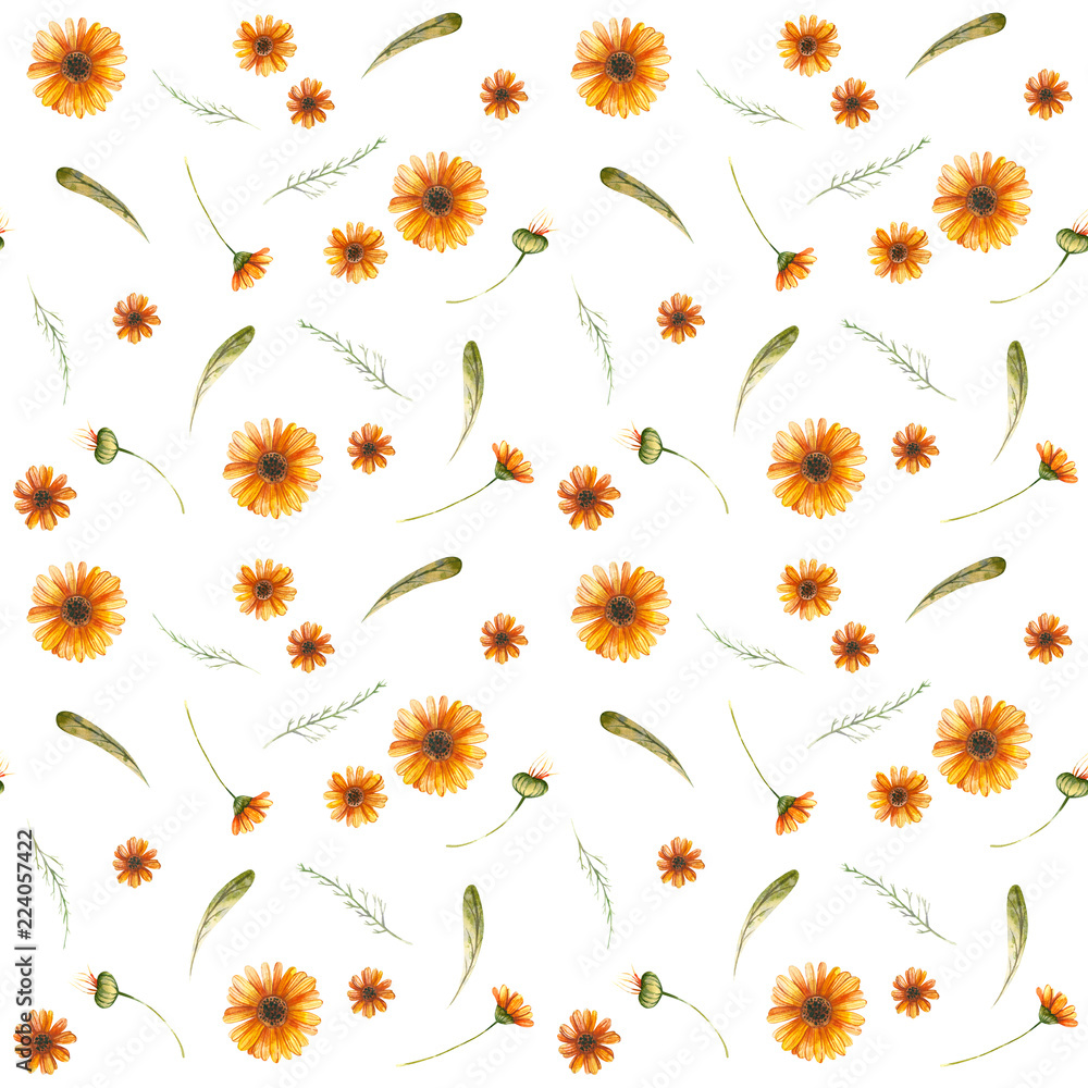 Watercolor autumnal pattern of wild flowers