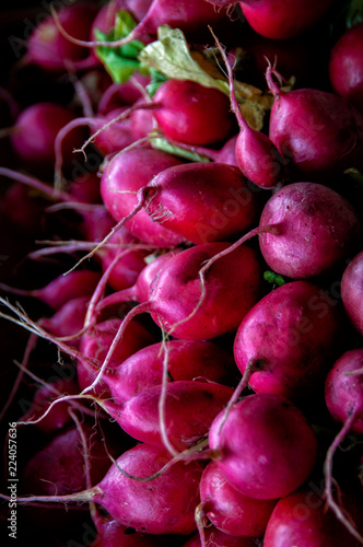 Wallpaper Mural A close up of a bunch of harvested radishes at a farmer's market in Immokalee, Florida. Torontodigital.ca