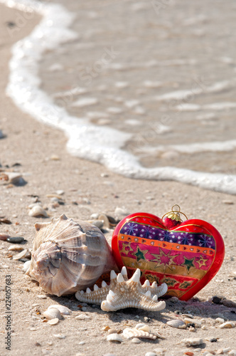 Wallpaper Mural A festive setting of a christmas ornament, a whelk and a starfish at the beach with a wave at low tide along Barefoot Beach, Florida. Torontodigital.ca