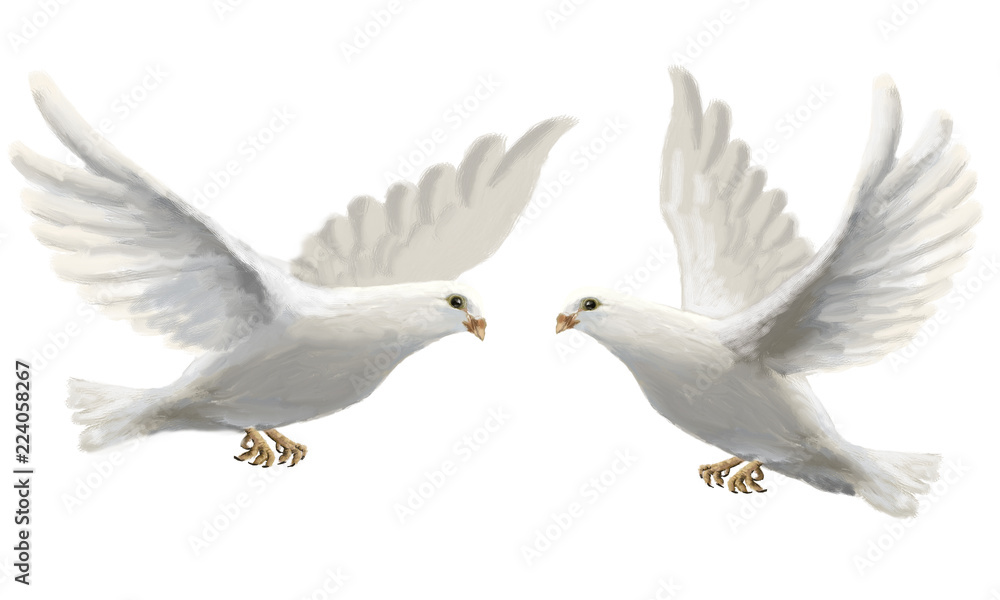 Fototapeta premium Love Doves