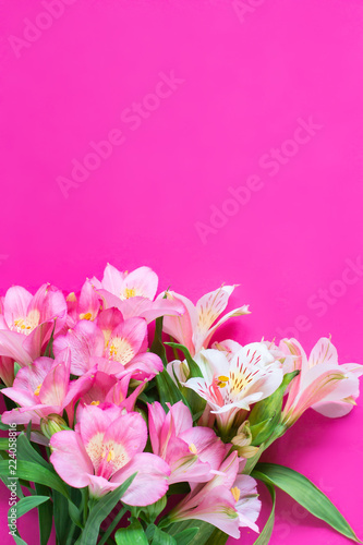 Fototapeta Naklejka Na Ścianę i Meble -  A bouquet of alstroemeria flowers on a bright pink background