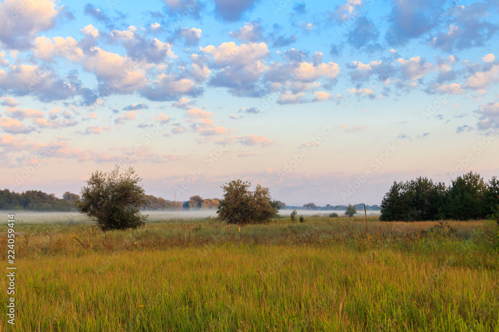 Summer landscape with green misty meadow, trees and sky. Fog on the grassland Summer landscape with green misty meadow, trees and sky. Fog on the grassland