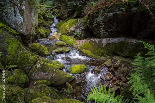 Steinklamm 2018-2   Wasserfall und Bachlauf in der Steinklamm bei Spiegelau im bayerischen Wald.