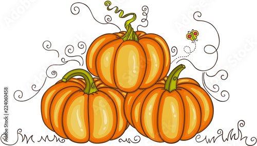 Orange autumn pumpkins
