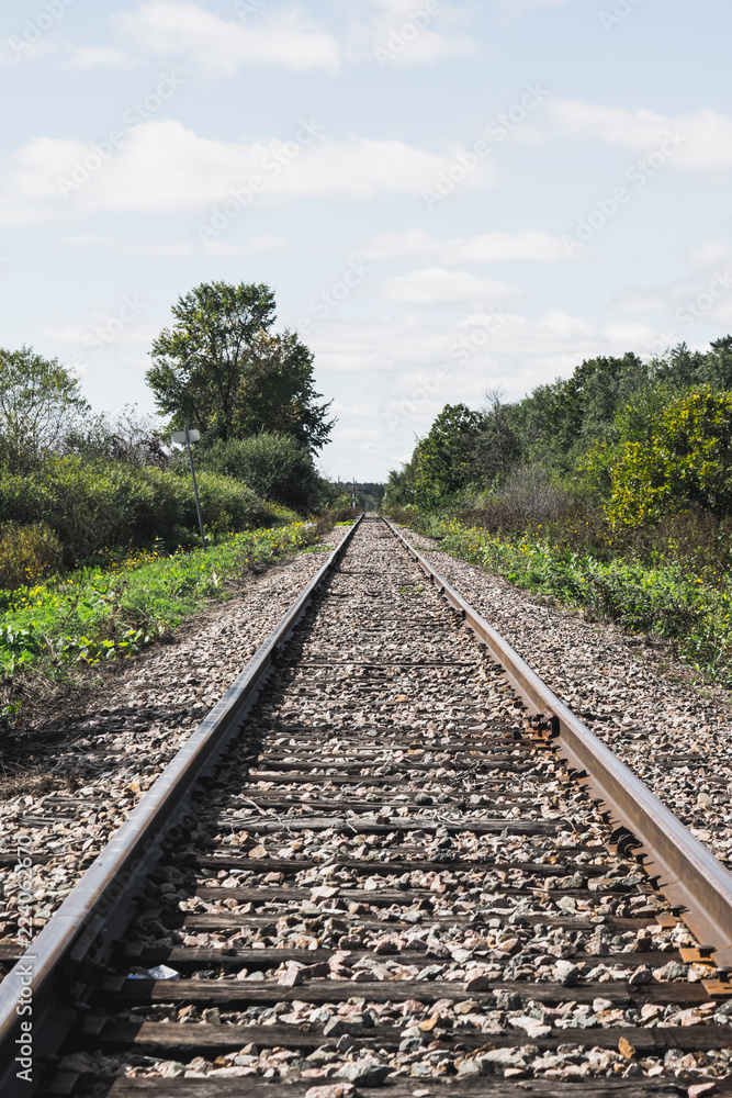 railway in the forest