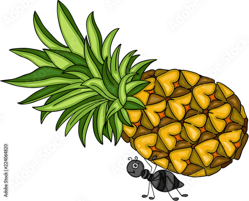Ant carrying a pineapple fruit
