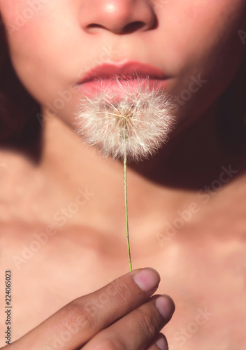Fototapeta Naklejka Na Ścianę i Meble -  Young woman holding dandelion (Taraxacum officinale) seed head
