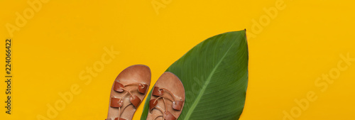 Brown Greek Leather Summer Sandals and tropical leaves on bright yellow minimalistic background. Womens shoes Summer festive background Top view Flat Lay with copy space long banner photo