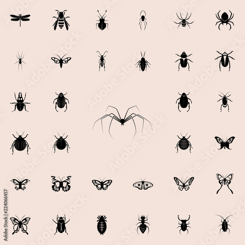 long-legged spider icon. insect icons universal set for web and mobile