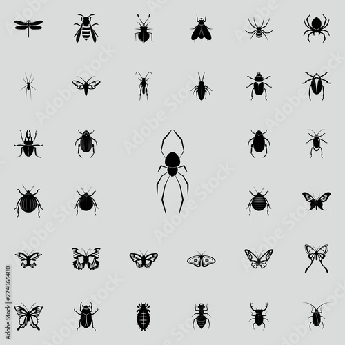 Spider Karakurt icon. insect icons universal set for web and mobile © rashadaliyev