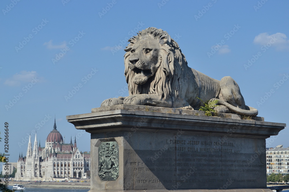 Lion du pont des chaines, Széchenyi lánchíd