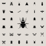 stag beetle icon. insect icons universal set for web and mobile