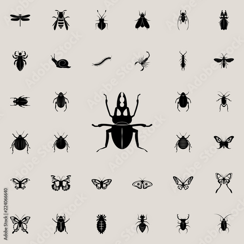 stag beetle icon. insect icons universal set for web and mobile © rashadaliyev
