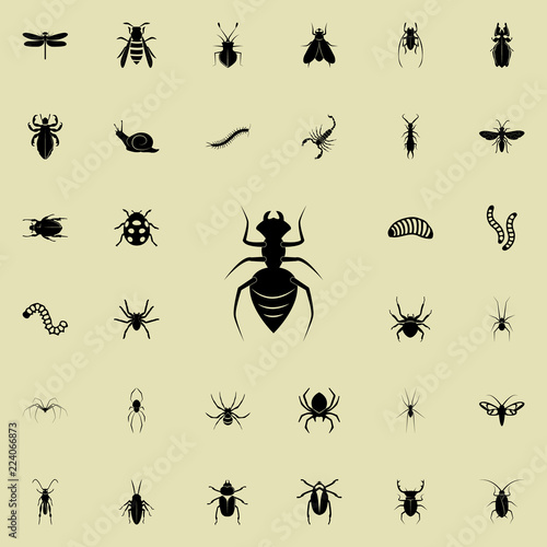 ant icon. insect icons universal set for web and mobile