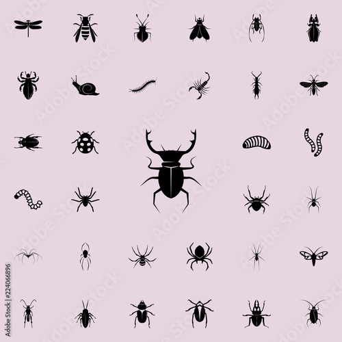 beetle deer icon. insect icons universal set for web and mobile