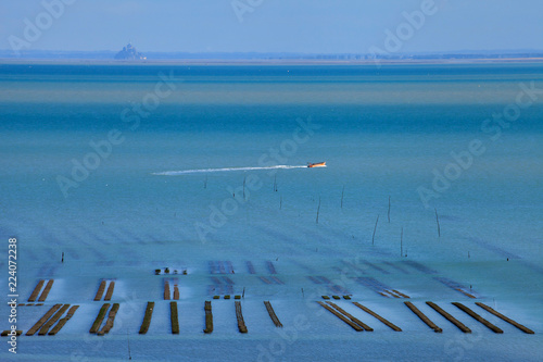 Cancale, Baie du Mont-saint-michel, Parcs à huîtres,  photo