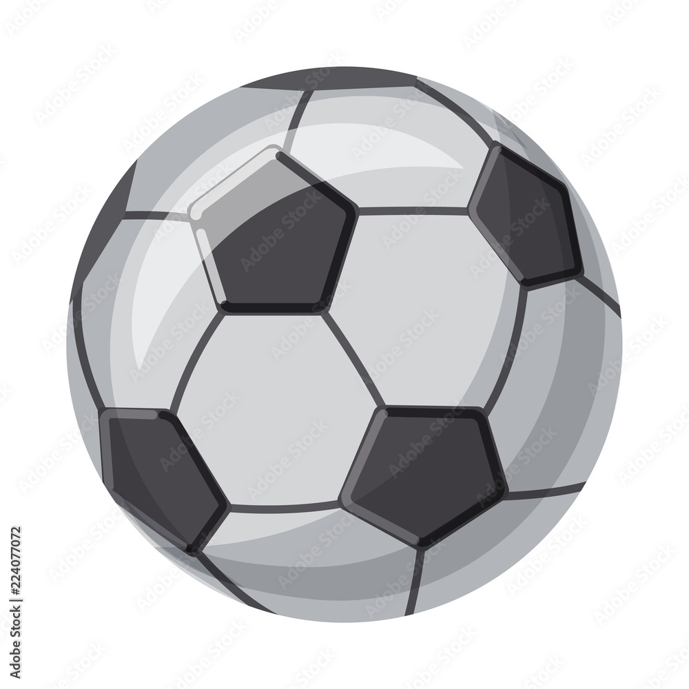 Fototapeta premium Vector illustration of sport and ball logo. Set of sport and athletic stock vector illustration.