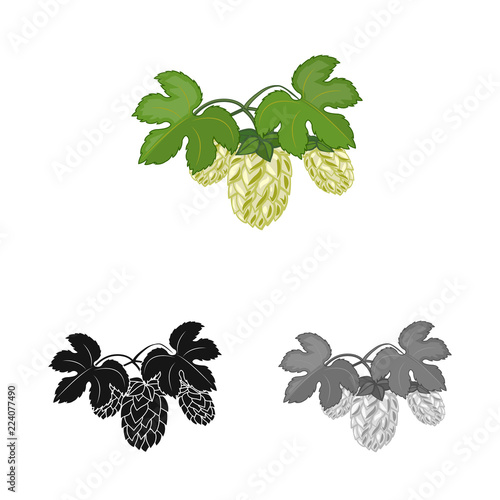 Isolated object of pub and bar sign. Collection of pub and interior stock symbol for web.