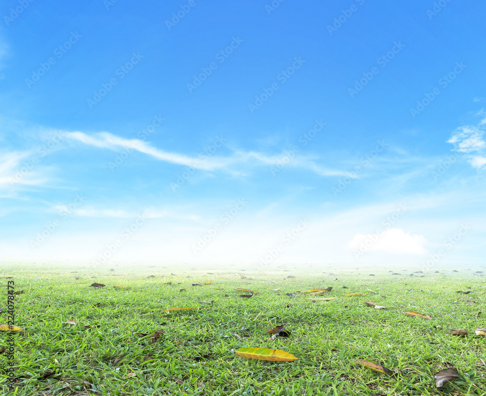 Fototapeta premium World Heart Day concept: Half climate worsened with half good atmosphere background