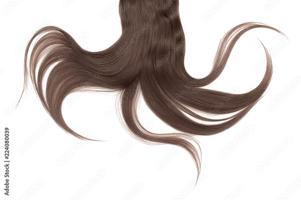 Long disheveled brown (chocolate) hair, isolated on white background