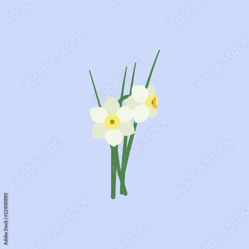 Daffodil flowers white color icon. Element of colored beautiful flowers icon for mobile concept and web apps. Color Daffodil flowers white icon can be used for web and mobile
