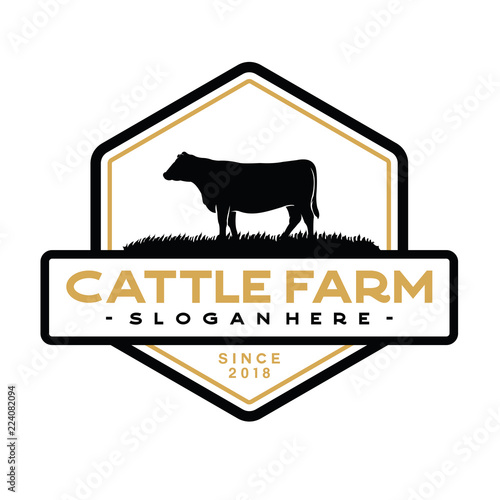 Vintage Cattle / Beef logo design inspiration vector