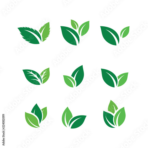 Set of Green Leaf Logo design inspiration vector icons