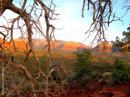 Canyon view