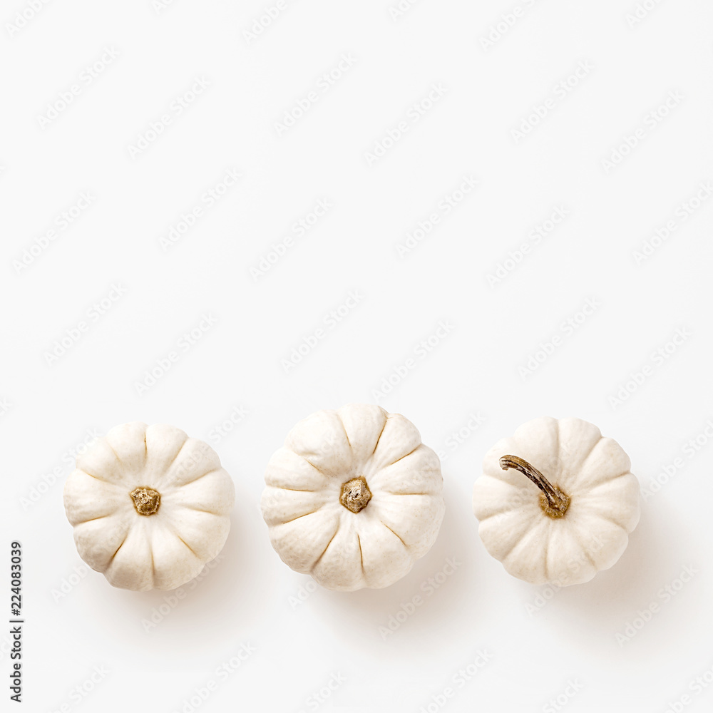 Fototapeta premium minimalist fall / autumn concept, card or background with three white pumpkins in a row on a white background - flat lay / top view