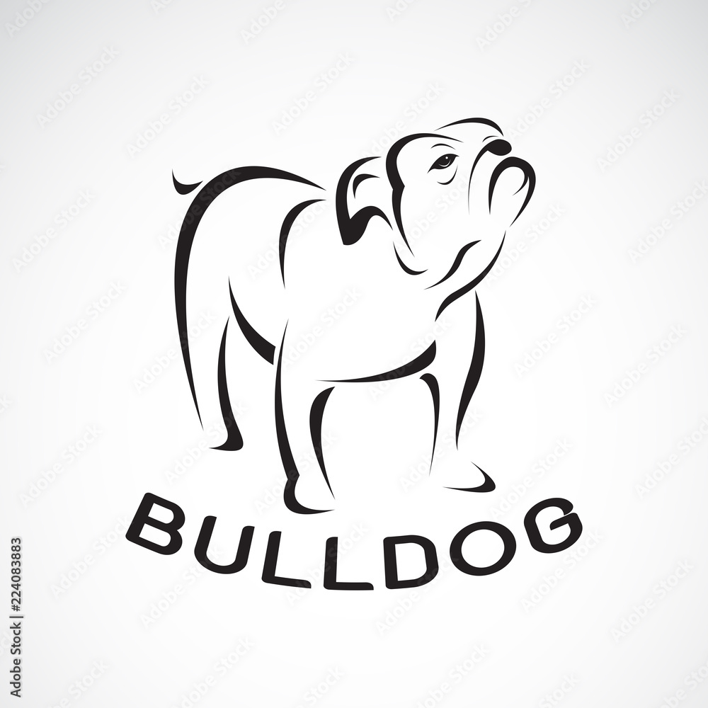 Vector of bull dog design on white background. Pet. Animal. Easy editable layered vector illustration.