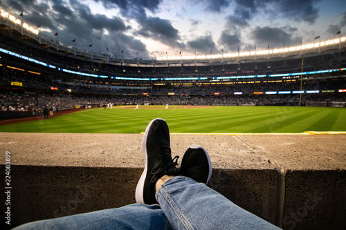 Person Enjoys Baseball Stadium photo