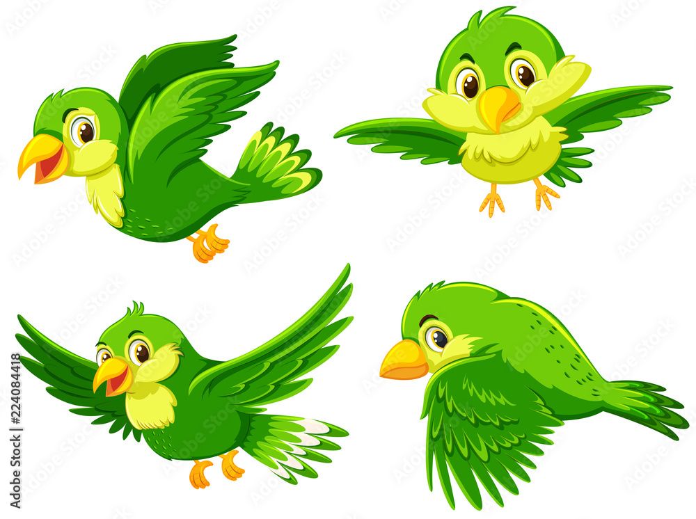 Green bird with different action