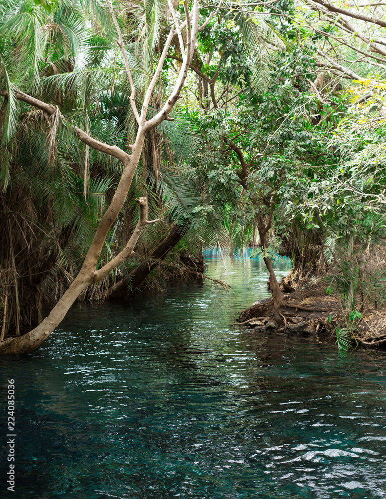 Naklejka premium hot spring water
