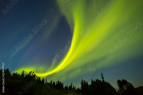 秋のアラスカのオーロラ Aurora Alaska autumn   © norikko