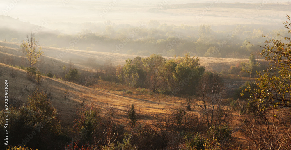 autumn morning landscape with light fog