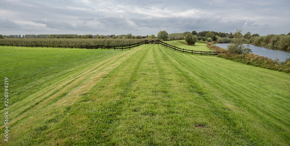 Grass field with wooden fence
