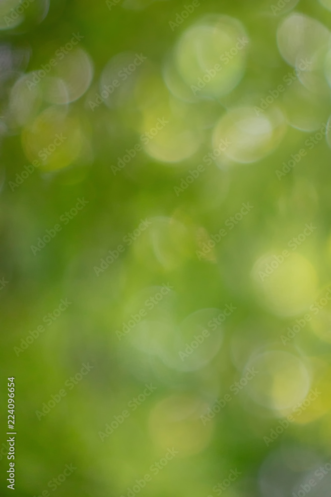 Fototapeta premium Colorful green natural blurred background with bokeh effect.