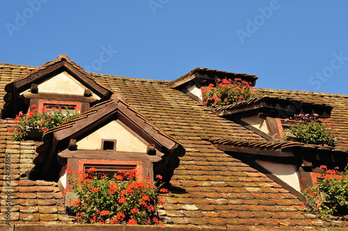 flower boxes with geraniums at garret windows