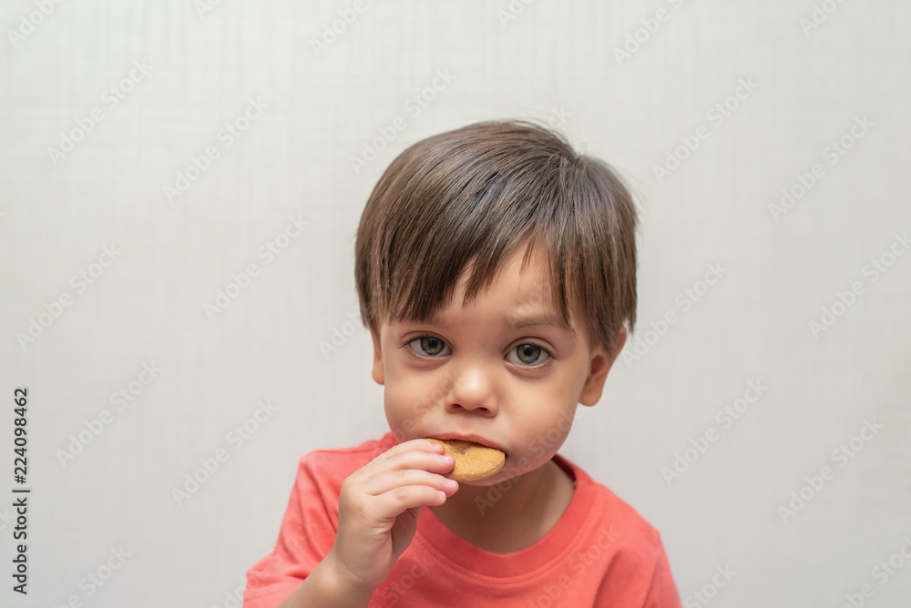 Cute baby boy toddler - eating wafer biscuit Cute baby boy toddler - eating wafer biscuit
