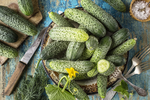 Fresh cucumbers in a bowl on table, top view
