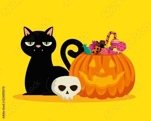 halloween card with pumpkin and black cat